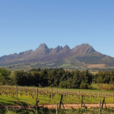 Vinice Stellenbosch: Síla a Krása jihoafrického vinařství